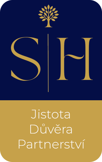 SH FinConsulting